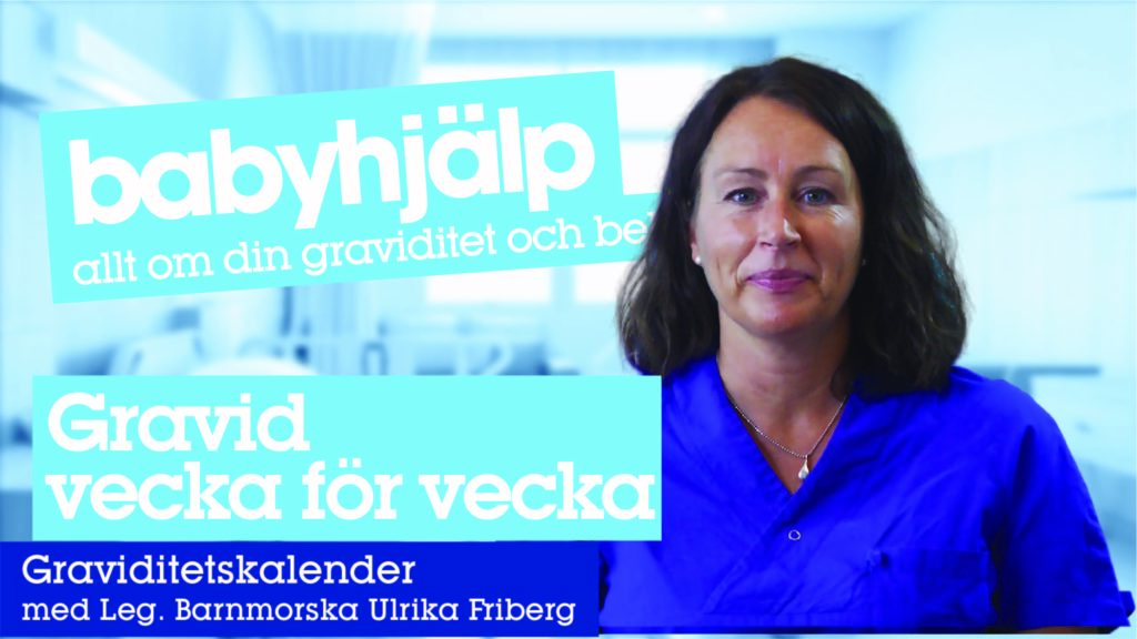 Gravid vecka för vecka